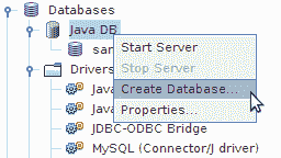 Java DB context menu